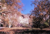 Montezuma Castle