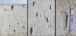 Fossilized Footprints - White Sands National Park - PID:263683