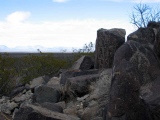 Three Rivers Petroglyphs - PID:84675