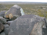 Three Rivers Petroglyphs - PID:84680