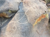 Coso Petroglyphs