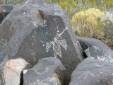 Three Rivers Petroglyphs