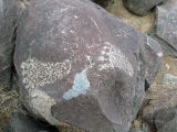 Three Rivers Petroglyphs - PID:84682