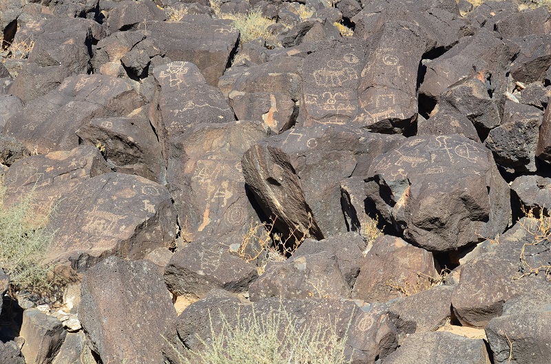 Petroglyph Nat. Mon.