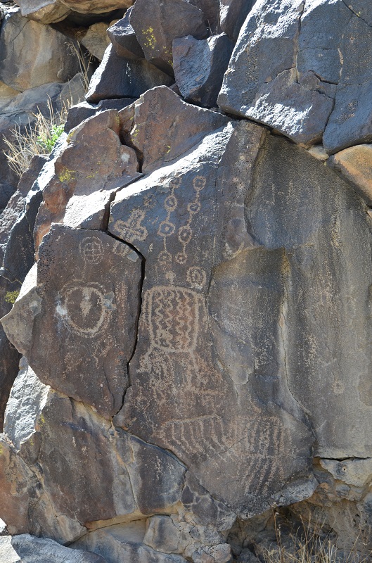 Abstract figures and some tortoises on one of the panels found in Inscription Canyon.