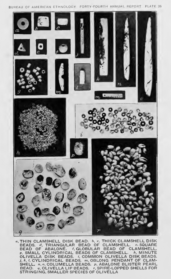 Additional shell and bead artifacts from the Burton Mound site.  Photo courtesy Dr Greg Little, author of the Illustrated Encyclopedia of Native American Indian Mounds & Earthworks (2016). 
