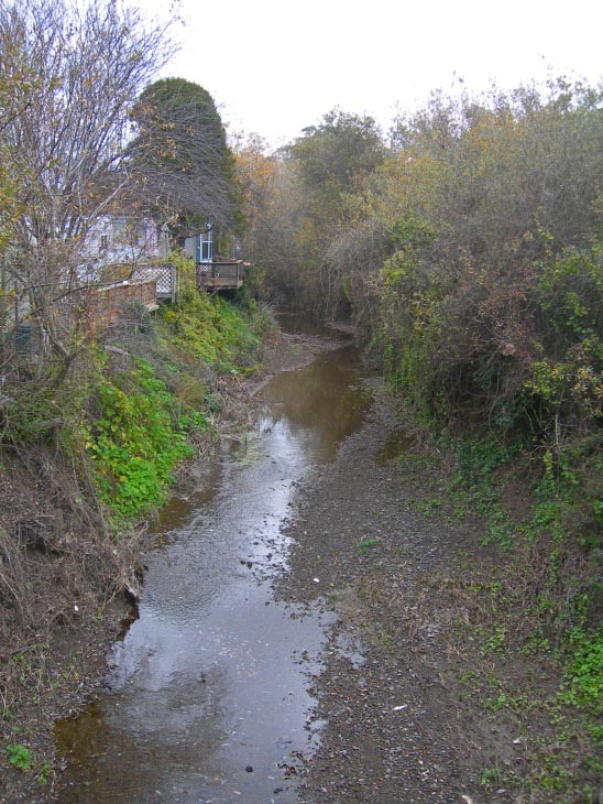 Morro Creek