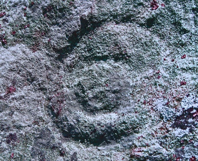 Closeup of concentric ring carvings on a large metamorphic boulder at the Ring Mountain Preserve.