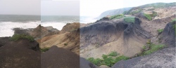 Bodega Head Shellmound