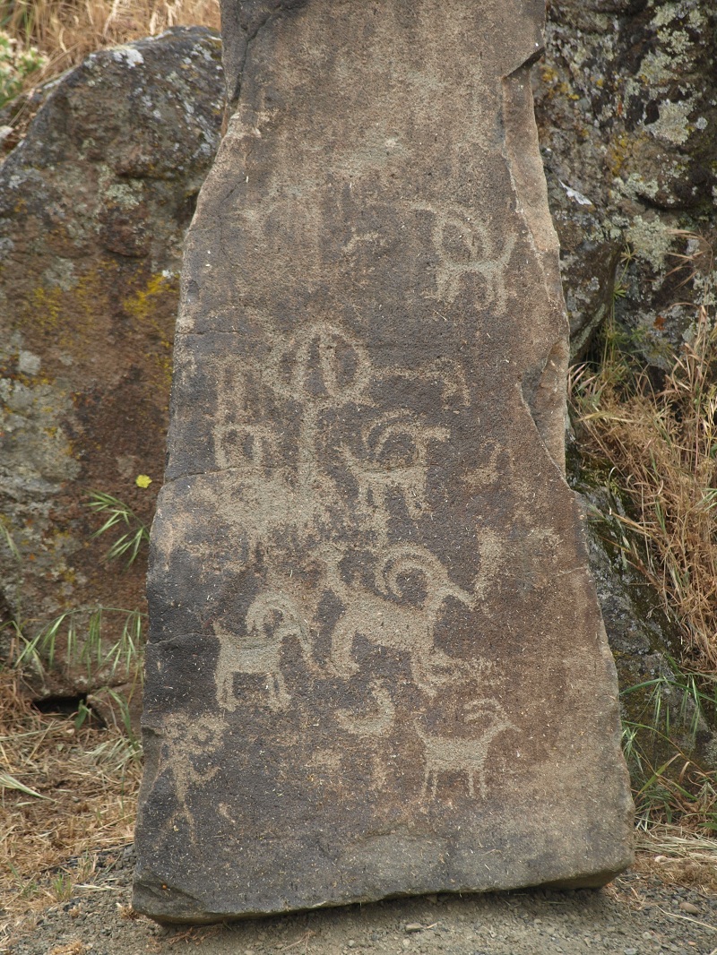 One of the relocated rock art panels on the Temani Pesh-wa Trail.
Photo by bat400, ca. May 2013.