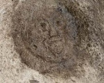 Man-Face petroglyph (Union, Grenada) - PID:59872