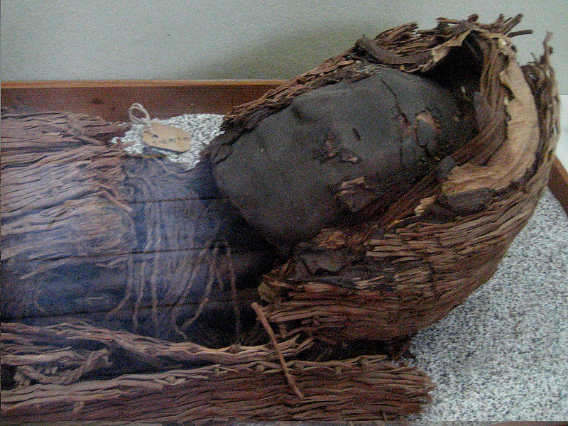 Example of a mummy from the Chinchorro culture, found in Northern Chile. Similar to exhibits at the San Miguel de Azapa museum.
Photo originally posted to Flickr as cultura chinchorro año 3000 AC. Author: Pablo Trincado, 26 Sept 2008 (2008-09-26)

This file is licensed under the Creative Commons Attribution 2.0 Generic license.
