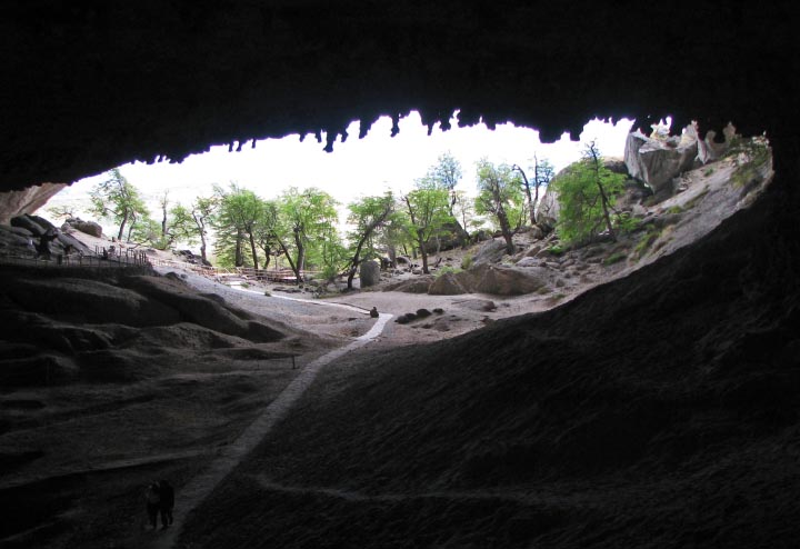 Site in  Chile.
Grande Cueva del Milodon viewed from the interior.  Note the stalactites at the entrance dripline. Trees immediately outside represent several species of the genus Nothofagus. 
