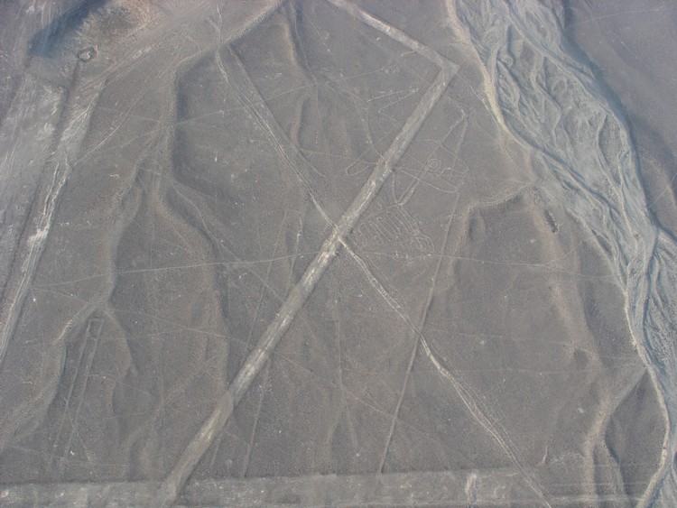 Nazca Lines Whale Hill Figure or Geoglyph The Megalithic