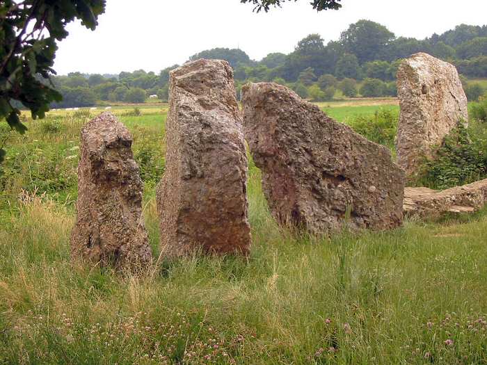 A group of menhirs in the middle of an agricultural area. Some of them have fallen over.