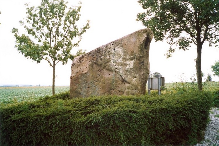 Site in  Belgium
Zeupire standing stone near village of Gozee - view from the east (photo taken on August 2004).