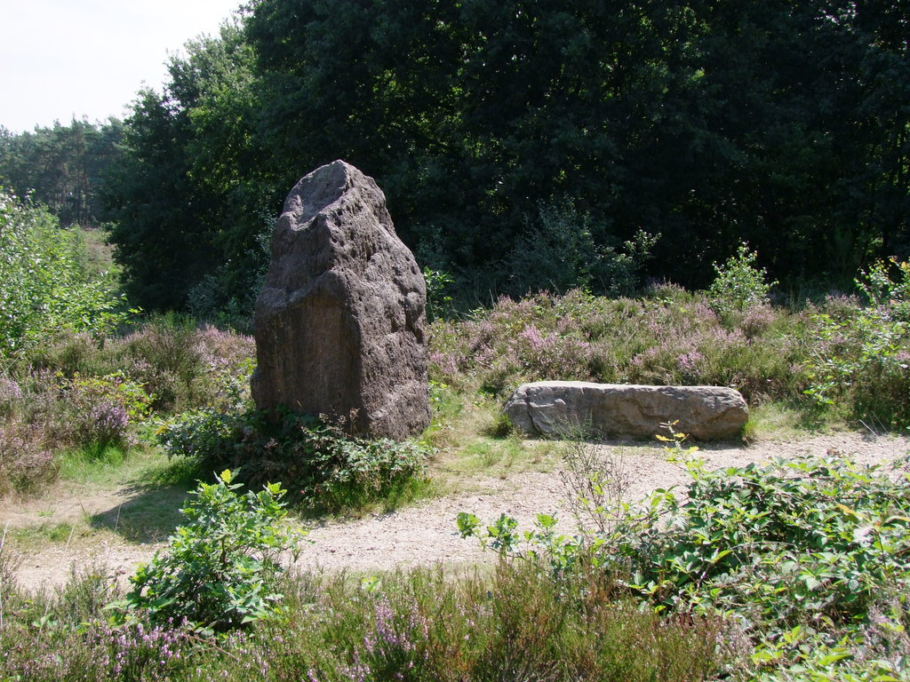 One standing and one lying stones.  The other two are about 20 m further along the trail.  August 2015.

