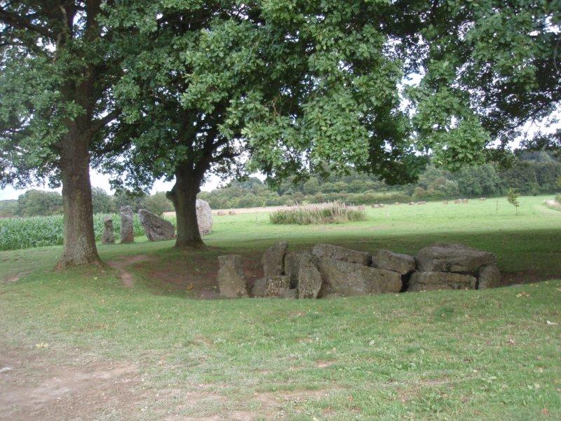 Site in  Belgium
Alleé couverte de (Weris II) ou dolmen d'Oppagne et groupe des cinq menhirs voisins.
In the middle the dolmen, in the background the 5 menhirs. 
