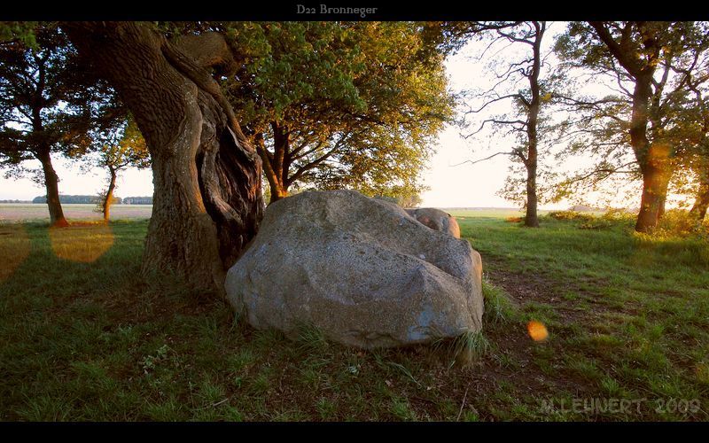 5 orthostats and 2 large capstones are left of this passage grave. Possibly in situ.  But the chamber is deeply hidden in the ground. Only the 2 capstones and one orthostat are visible nowadays. There is an enormous tree growing beside the tomb. All in all a very atmospheric site. (May 2009)

Remark: the lens hood was removed to get some lens flares. 