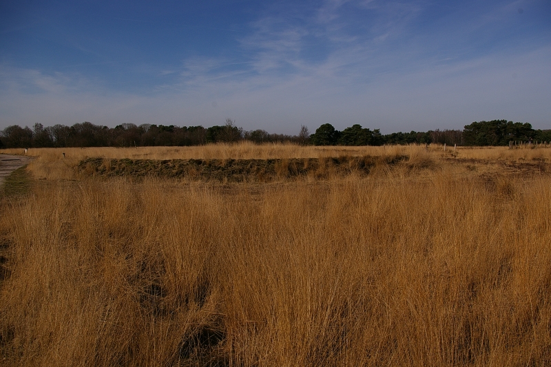 This barrow is (nr. 4) is the only one with a ditch surrounding it. In the background  then barrows 2 and 3 are visible. 