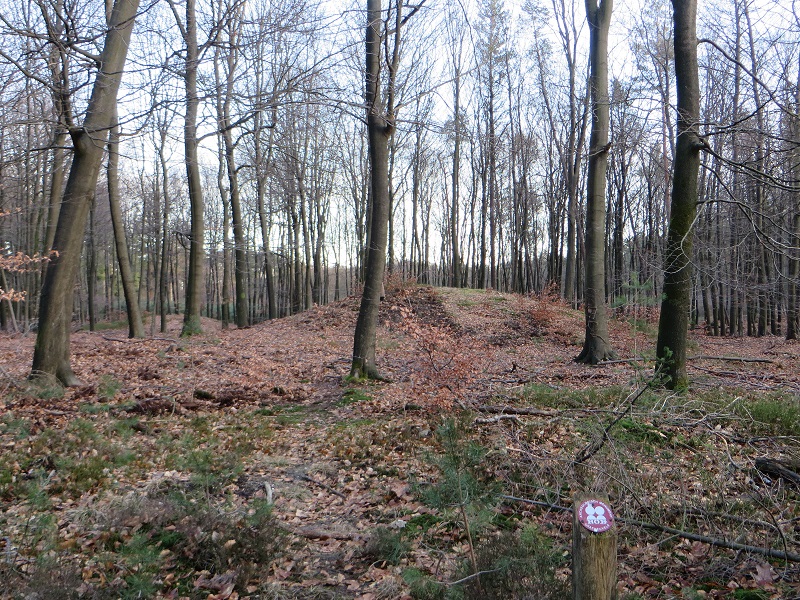 Grafheuvel Apeldoorn (45188)