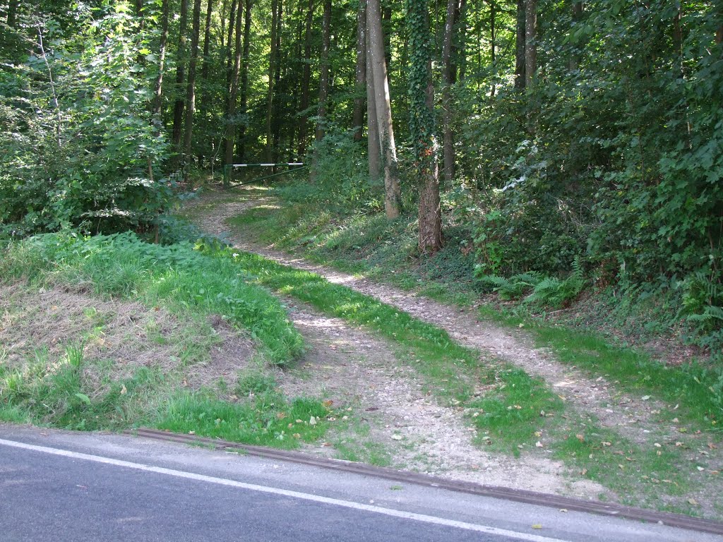 Access to the site over this 25 m long forest track (go on foot...), from the CR122 road to the the green/white gate.
The track begins at (49.7022, 6.1611), about 200 m West do Blaschette. 
