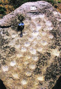 What could be an early representation of the Great Bear constellation dating back to around 500 B.C. has been discovered on a piece of rock at Mudumula village of Mahabubnagar district by the University of Hyderabad.

Site in  India


