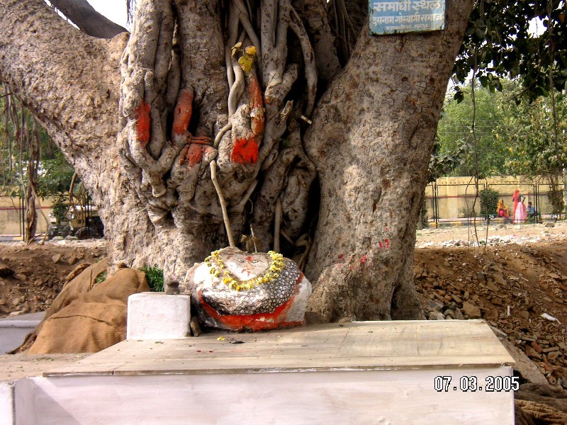 Udaipur guardian stones

