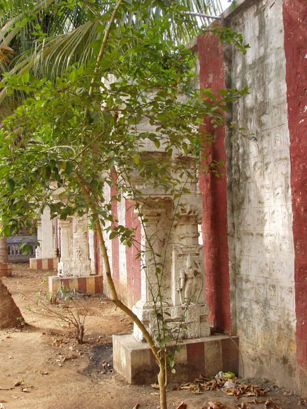 Shri Sangameshvara, Bhavani, Tamil Nadu. Pillars standing out of context in the complex.

