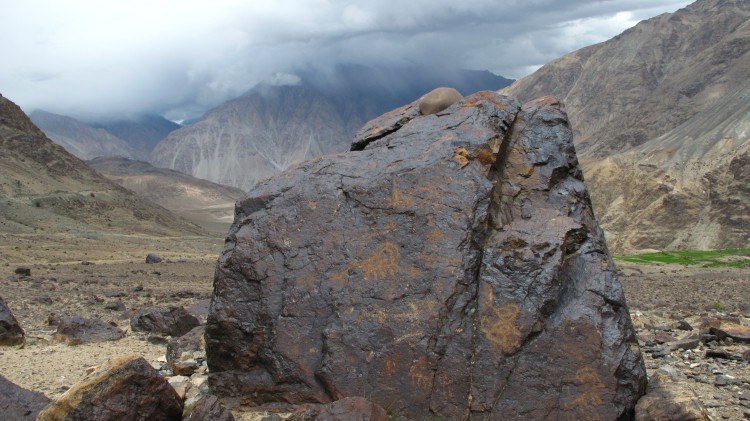 Kardung petroglyphs