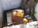 Udaipur guardian stones