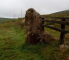 Ballygomartin Standing Stone - PID:213415