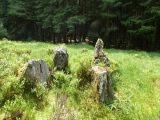Ballyvennaght Court Tomb   - PID:110326