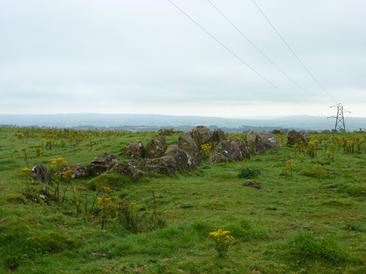 Browndod Court Tomb