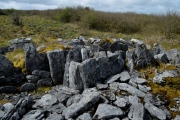 Parknabinnia Court Tomb - PID:181799