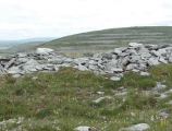 Turlough Hill Neolithic fort - PID:155764