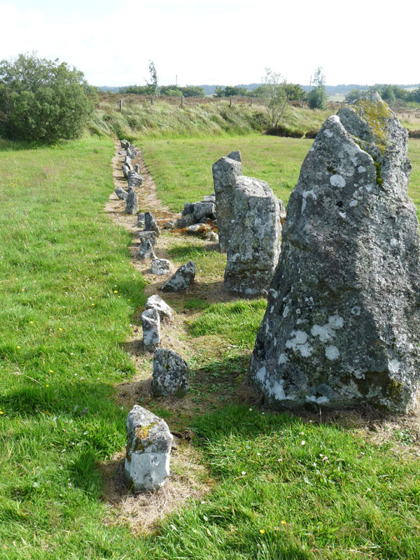 Beaghmore Stone row leading from Circle E