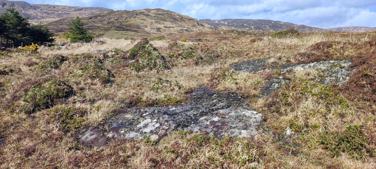 Kilcaskan rock art [Reenmeen West] Rock Art : The Megalithic Portal and ...