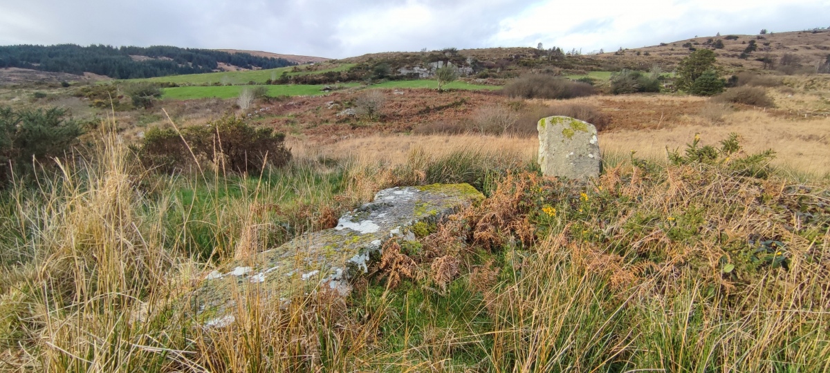 The prostrate stone is over 4 metres long and would have been a striking feature on the landscape when standing.

This view is looking to the North.

Photo taken December 2023.