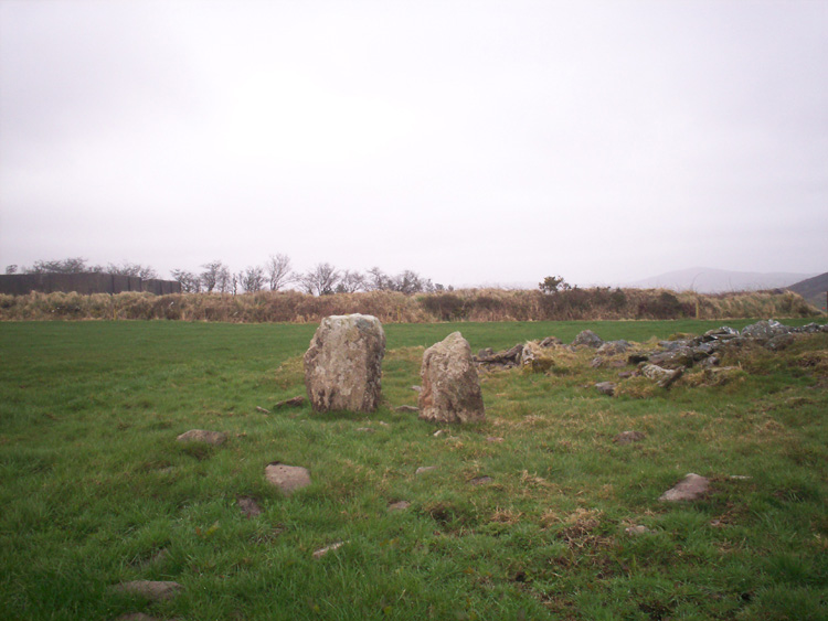 Knockraheen NE Standing Stones