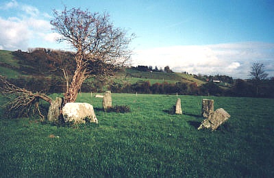 Ballyvacky Stone Circle, Co. Cork (W344 427):

Ballyvacky circle is another fine West Cork example of an axial stone circle.  Seven monoliths remain of an original nine stones including a radially-set entrance stone and a flat topped axial stone. The alignment along this axis is ENE-WSW with an internal distance between portals and recumbent of 8.5m.
