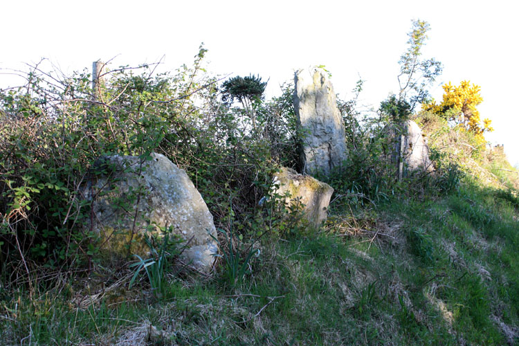 Knocknakilla Standing Stone