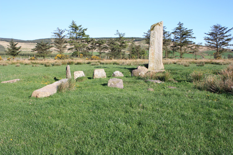 This overall view of the circle shows the unusually equal heights of most of the elements. The one notably taller stone is in an odd position at the NW