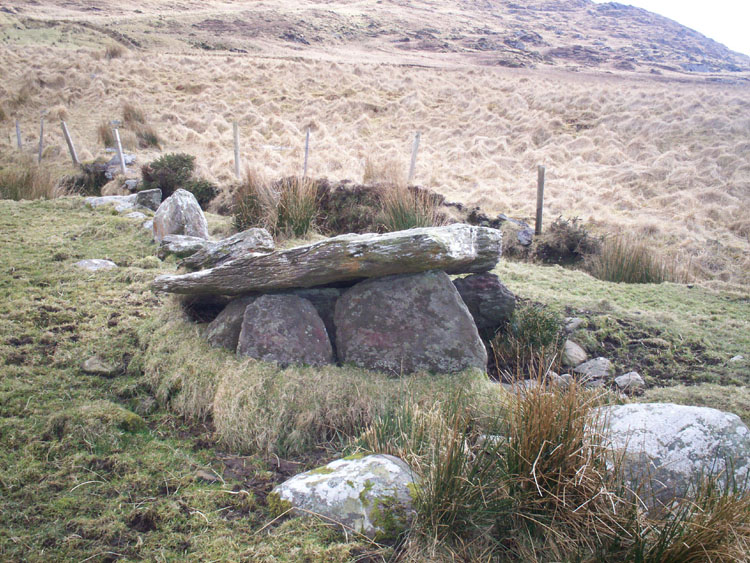 Kilmackowen Wedge Tomb