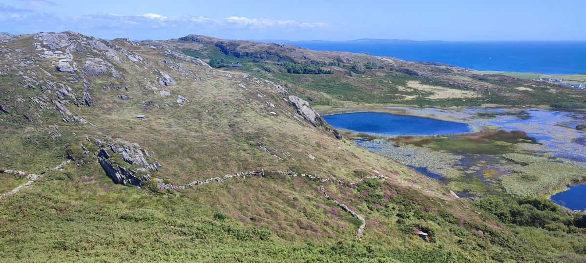 A photo of the general landscape taken from higher ground to the north west looking east. 

Arduslough wedge tomb is on the lower right poking out of the undergrowth.

The nearby Tooreen wedge tomb is also visible as a square slab further up the hill to the left above an outcrop of rock.

Arduslough lough is on the right and the Celtic sea in the background.

Photo taken August 2023. 

