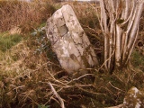 Awnaskirtawn Standing Stone - PID:13023