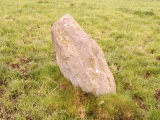 Ballyvoge 1 Standing Stone - PID:13039