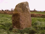 Ballyvoge 2 Standing Stone - PID:13022