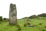 Cahermore Standing Stone - PID:166531