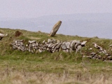 Dundeady Standing Stone - PID:13111